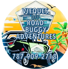 Vieques Offroad Buggy Adventures